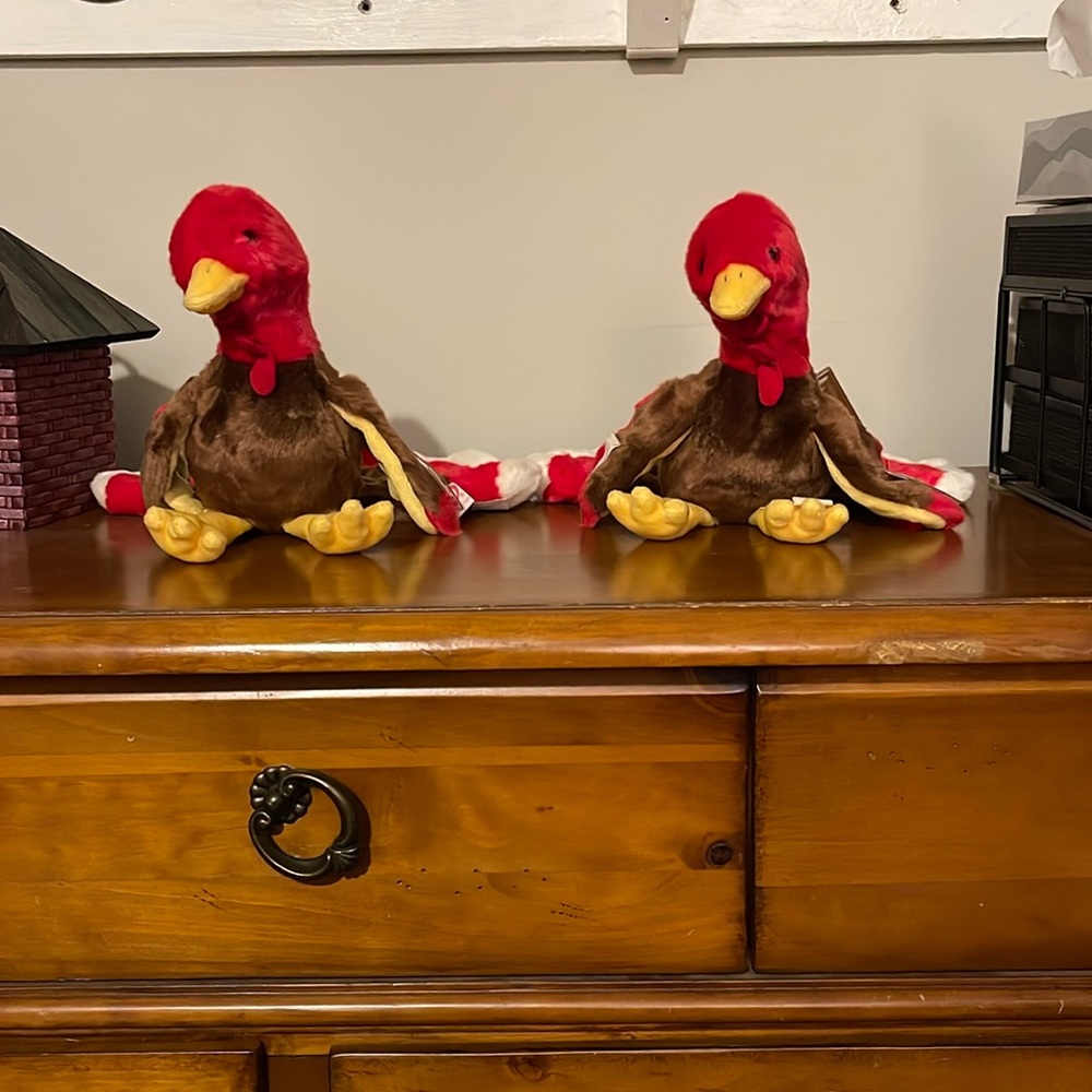 Beanie babies for sale